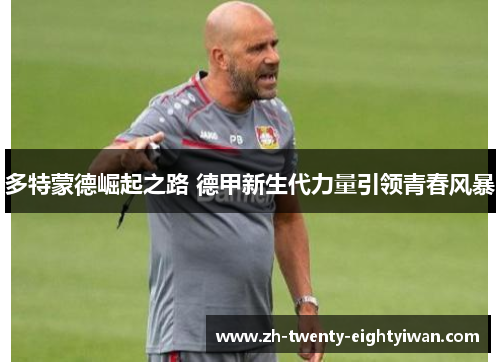 多特蒙德崛起之路 德甲新生代力量引领青春风暴 多特蒙德崛起之路 德甲新生代力量引领青春风暴