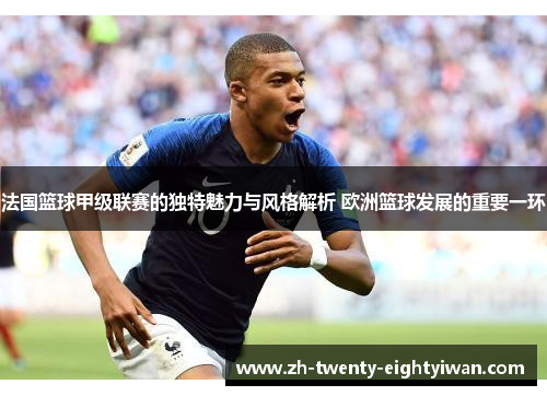 法国篮球甲级联赛的独特魅力与风格解析 欧洲篮球发展的重要一环 法国篮球甲级联赛的独特魅力与风格解析 欧洲篮球发展的重要一环