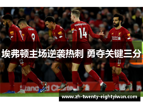 埃弗顿主场逆袭热刺 勇夺关键三分
